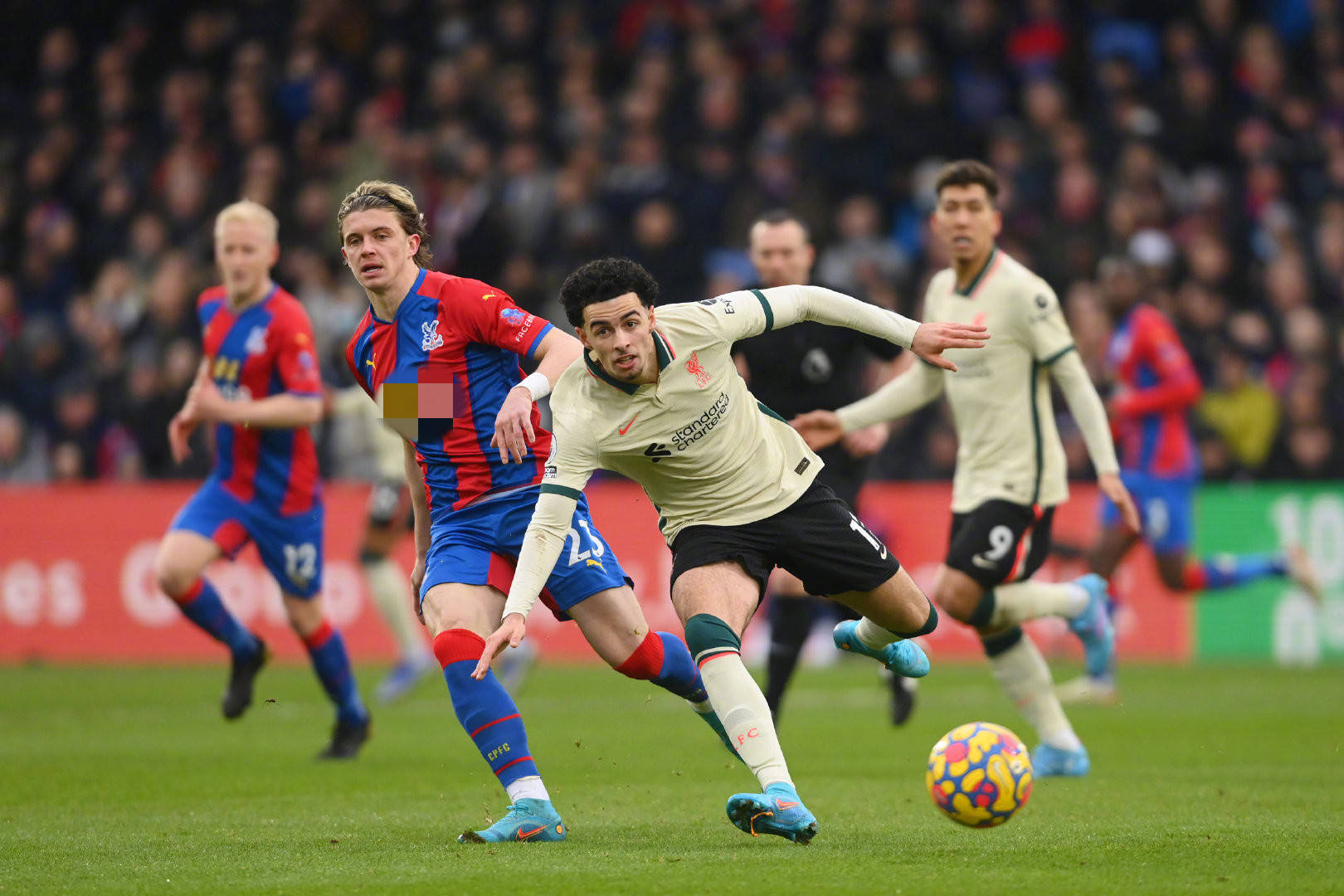 持并主办的 持并主办的